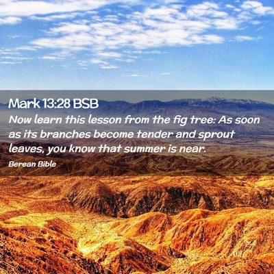 Picture 02 - Mark 13:28 BSB - Now learn this lesson from the fig tree: As soon - Bible Verse Picture