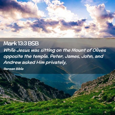Picture 02 - Mark 13:3 BSB - While Jesus was sitting on the Mount of Olives - Bible Verse Picture
