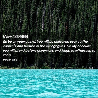 Picture 02 - Mark 13:9 BSB - So be on your guard. You will be delivered over - Bible Verse Picture