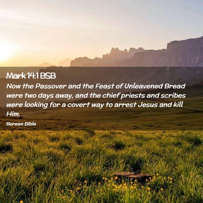 Picture 02 - Mark 14:1 BSB - Now the Passover and the Feast of Unleavened - Bible Verse Picture