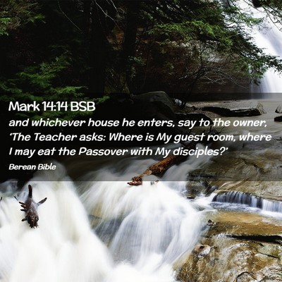 Picture 02 - Mark 14:14 BSB - and whichever house he enters, say to the owner, - Bible Verse Picture
