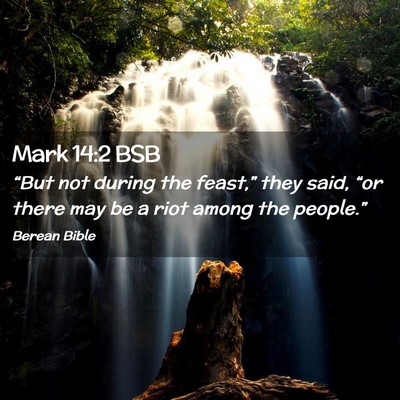 Picture 02 - Mark 14:2 BSB - “But not during the feast,” they said, “or - Bible Verse Picture