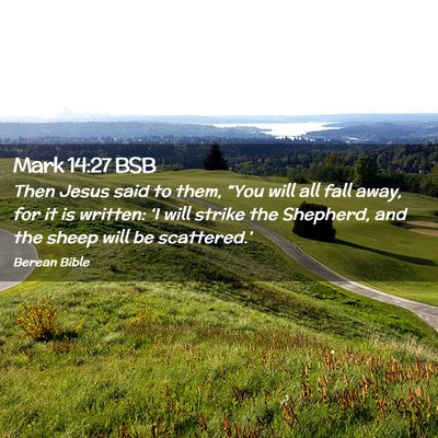 Picture 02 - Mark 14:27 BSB - Then Jesus said to them, “You will all fall - Bible Verse Picture