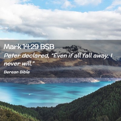 Picture 02 - Mark 14:29 BSB - Peter declared, “Even if all fall away, I never - Bible Verse Picture