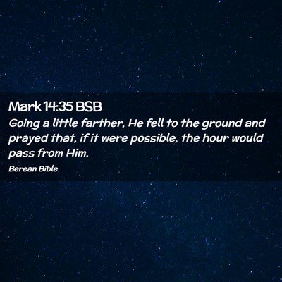 Picture 02 - Mark 14:35 BSB - Going a little farther, He fell to the ground and - Bible Verse Picture
