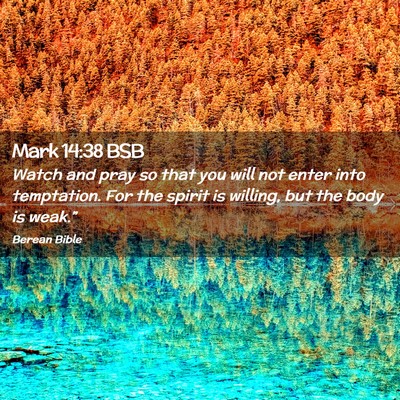 Picture 02 - Mark 14:38 BSB - Watch and pray so that you will not enter into - Bible Verse Picture