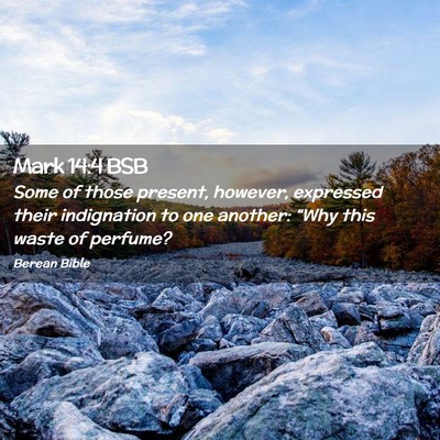 Picture 02 - Mark 14:4 BSB - Some of those present, however, expressed their - Bible Verse Picture