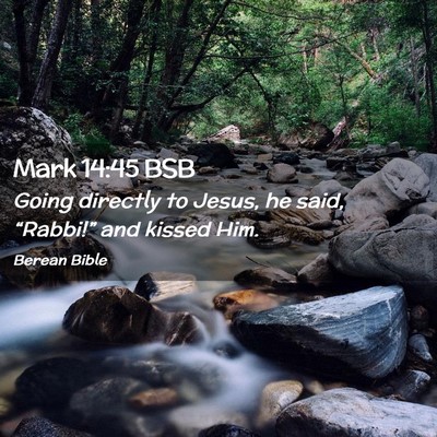 Picture 02 - Mark 14:45 BSB - Going directly to Jesus, he said, “Rabbi!” - Bible Verse Picture