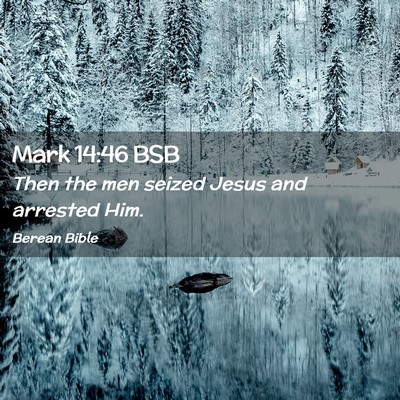 Picture 02 - Mark 14:46 BSB - Then the men seized Jesus and arrested - Bible Verse Picture