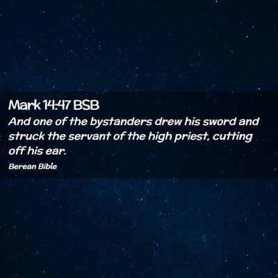 Picture 02 - Mark 14:47 BSB - And one of the bystanders drew his sword and - Bible Verse Picture