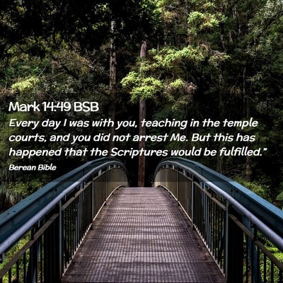 Picture 02 - Mark 14:49 BSB - Every day I was with you, teaching in the temple - Bible Verse Picture