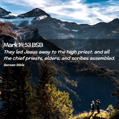 Picture 02 - Mark 14:53 BSB - They led Jesus away to the high priest, and all - Bible Verse Picture