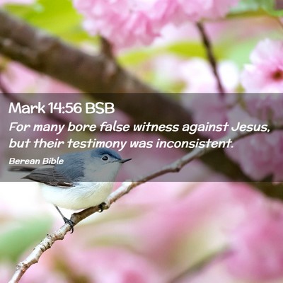 Picture 02 - Mark 14:56 BSB - For many bore false witness against Jesus, but - Bible Verse Picture
