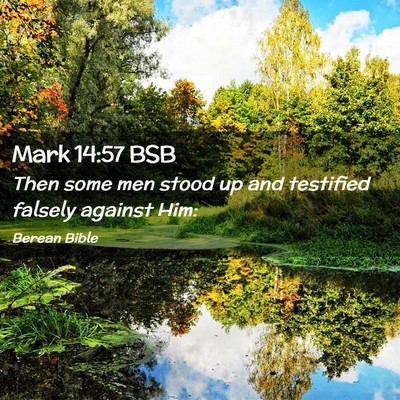Picture 02 - Mark 14:57 BSB - Then some men stood up and testified falsely - Bible Verse Picture