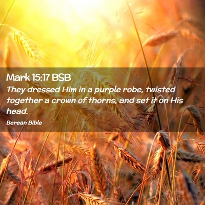 Picture 02 - Mark 15:17 BSB - They dressed Him in a purple robe, twisted - Bible Verse Picture