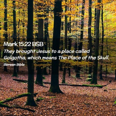 Picture 02 - Mark 15:22 BSB - They brought Jesus to a place called Golgotha, - Bible Verse Picture