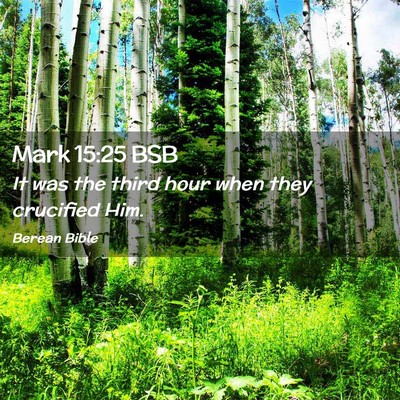Picture 02 - Mark 15:25 BSB - It was the third hour when they crucified - Bible Verse Picture