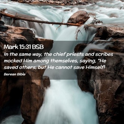Picture 02 - Mark 15:31 BSB - In the same way, the chief priests and scribes - Bible Verse Picture