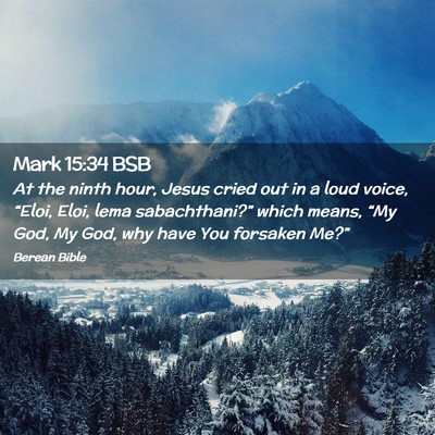 Picture 02 - Mark 15:34 BSB - At the ninth hour, Jesus cried out in a loud - Bible Verse Picture