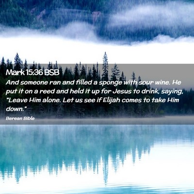 Picture 02 - Mark 15:36 BSB - And someone ran and filled a sponge with sour - Bible Verse Picture