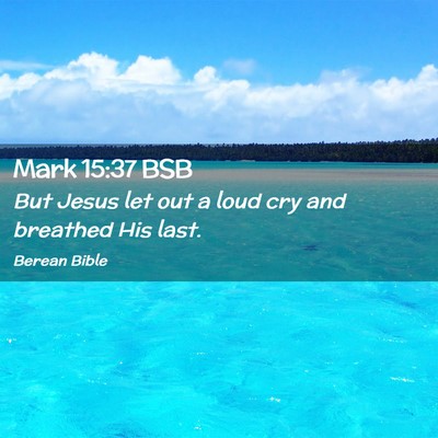Picture 02 - Mark 15:37 BSB - But Jesus let out a loud cry and breathed His - Bible Verse Picture