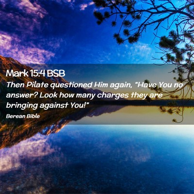 Picture 02 - Mark 15:4 BSB - Then Pilate questioned Him again, “Have You no - Bible Verse Picture