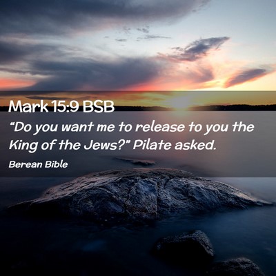 Picture 02 - Mark 15:9 BSB - “Do you want me to release to you the King of - Bible Verse Picture