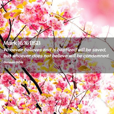 Picture 02 - Mark 16:16 BSB - Whoever believes and is baptized will be saved, - Bible Verse Picture