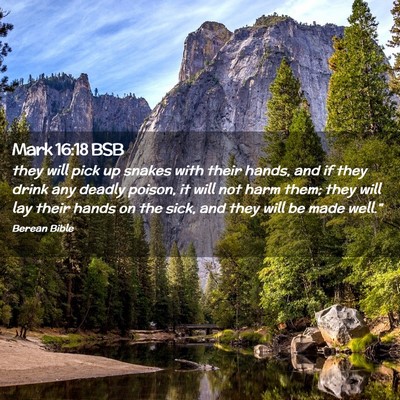 Picture 02 - Mark 16:18 BSB - they will pick up snakes with their hands, and if - Bible Verse Picture