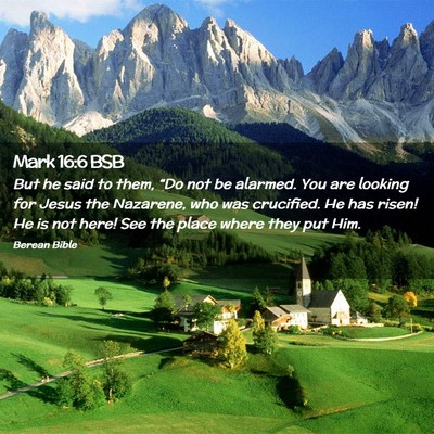 Picture 02 - Mark 16:6 BSB - But he said to them, “Do not be alarmed. You - Bible Verse Picture