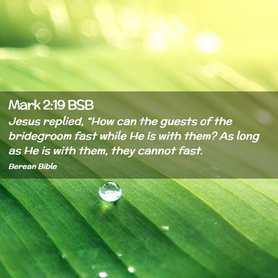 Picture 02 - Mark 2:19 BSB - Jesus replied, “How can the guests of the - Bible Verse Picture