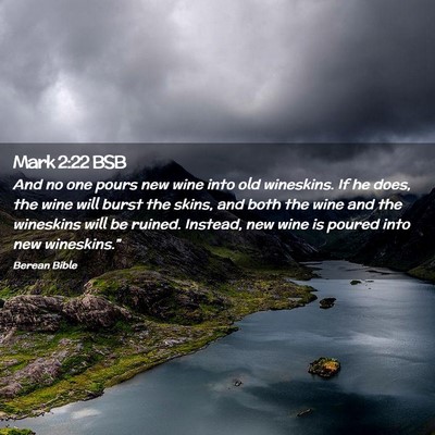 Picture 02 - Mark 2:22 BSB - And no one pours new wine into old wineskins. If - Bible Verse Picture