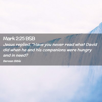 Picture 02 - Mark 2:25 BSB - Jesus replied, “Have you never read what David - Bible Verse Picture