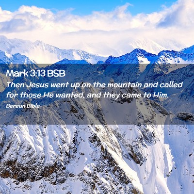 Picture 02 - Mark 3:13 BSB - Then Jesus went up on the mountain and called for - Bible Verse Picture