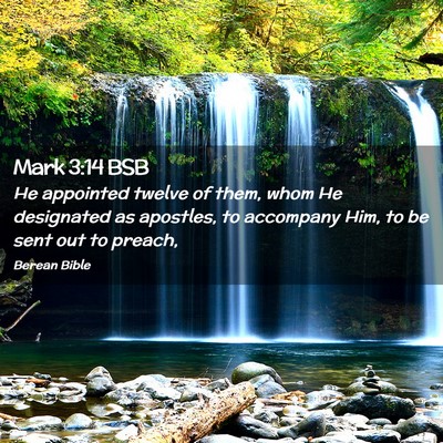 Picture 02 - Mark 3:14 BSB - He appointed twelve of them, whom He designated - Bible Verse Picture