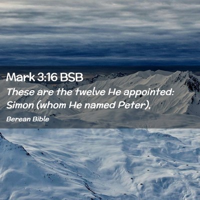 Picture 02 - Mark 3:16 BSB - These are the twelve He appointed: Simon (whom He - Bible Verse Picture