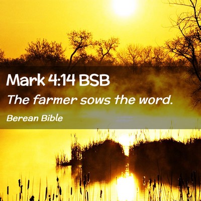 Picture 02 - Mark 4:14 BSB - The farmer sows the - Bible Verse Picture