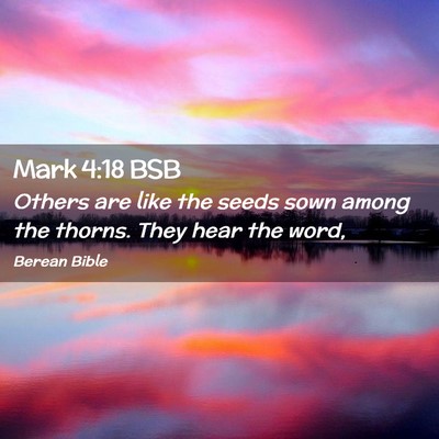 Picture 02 - Mark 4:18 BSB - Others are like the seeds sown among the thorns. - Bible Verse Picture