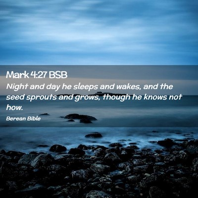 Picture 02 - Mark 4:27 BSB - Night and day he sleeps and wakes, and the seed - Bible Verse Picture