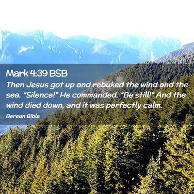 Picture 02 - Mark 4:39 BSB - Then Jesus got up and rebuked the wind and the - Bible Verse Picture