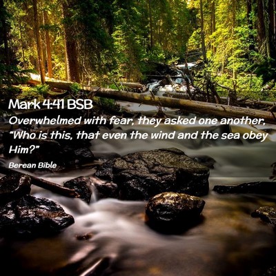 Picture 02 - Mark 4:41 BSB - Overwhelmed with fear, they asked one another, - Bible Verse Picture