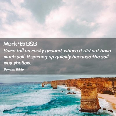 Picture 02 - Mark 4:5 BSB - Some fell on rocky ground, where it did not have - Bible Verse Picture
