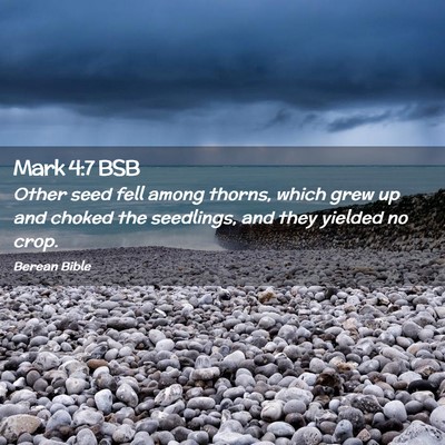Picture 02 - Mark 4:7 BSB - Other seed fell among thorns, which grew up and - Bible Verse Picture