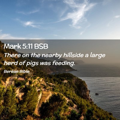 Picture 02 - Mark 5:11 BSB - There on the nearby hillside a large herd of pigs - Bible Verse Picture