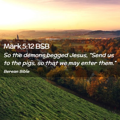 Picture 02 - Mark 5:12 BSB - So the demons begged Jesus, “Send us to the - Bible Verse Picture