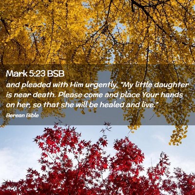 Picture 02 - Mark 5:23 BSB - and pleaded with Him urgently, “My little - Bible Verse Picture
