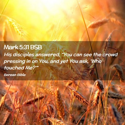 Picture 02 - Mark 5:31 BSB - His disciples answered, “You can see the crowd - Bible Verse Picture