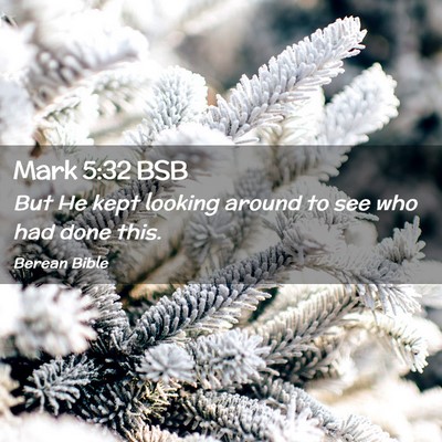 Picture 02 - Mark 5:32 BSB - But He kept looking around to see who had done - Bible Verse Picture