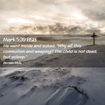 Picture 02 - Mark 5:39 BSB - He went inside and asked, “Why all this - Bible Verse Picture