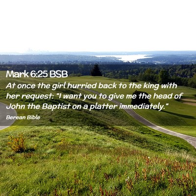 Picture 02 - Mark 6:25 BSB - At once the girl hurried back to the king with - Bible Verse Picture